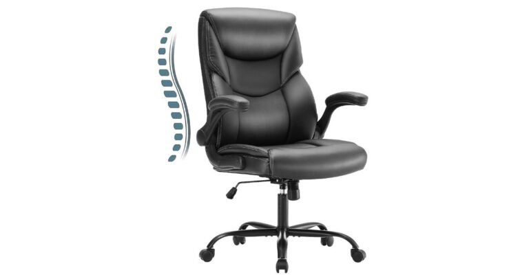 Best Computer Chair for Back