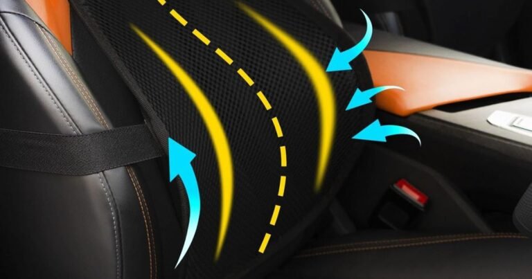 Best Chair Support for Back