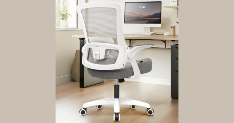 Best Type of Chair for Home Office