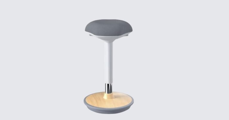 Best Balance Ball Chair for Office