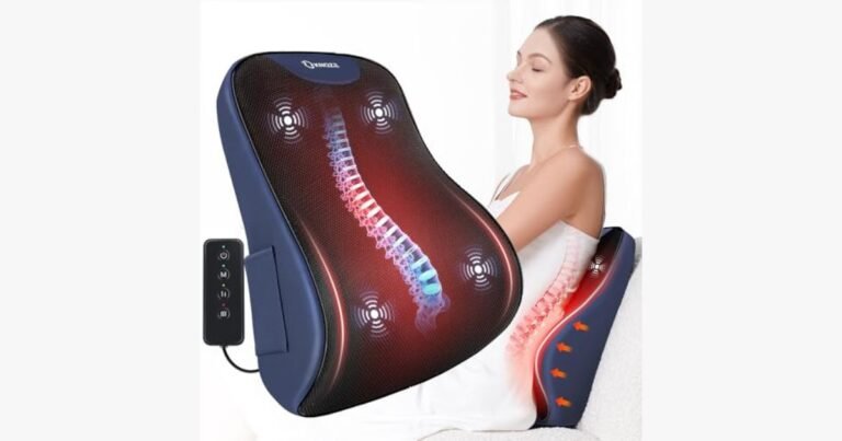 Best Heated Lumbar Support for Office Chair