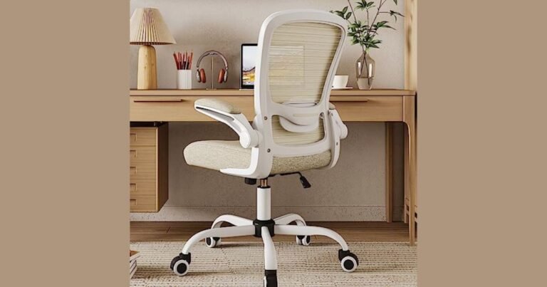 Best Color for Office Chair As Per Vastu