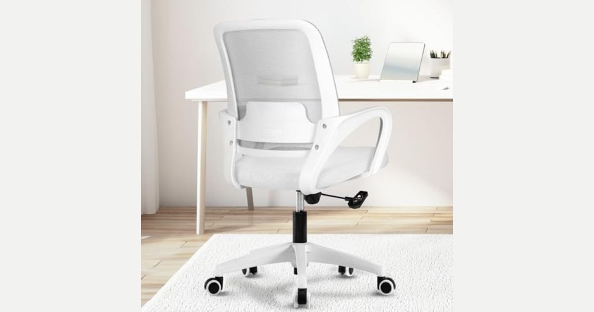 The 10 Best Office Chair for Budget