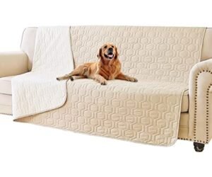 Best Fabric for Pets Sofa