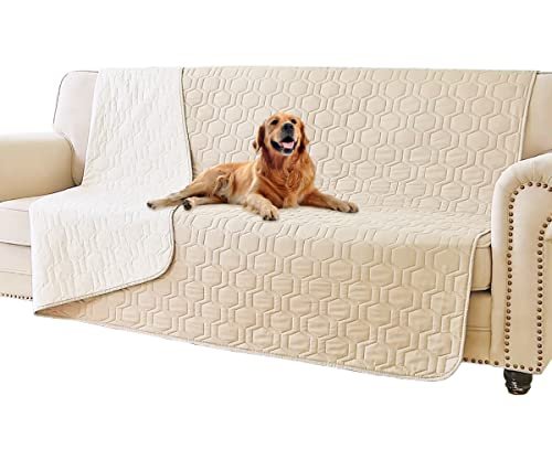 Best Fabric for Pets Sofa