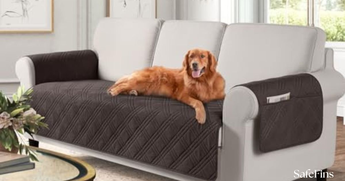 Best Couch Cover for Leather