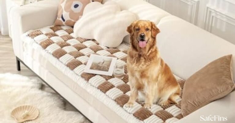 Best Dog Cover for Leather Couch
