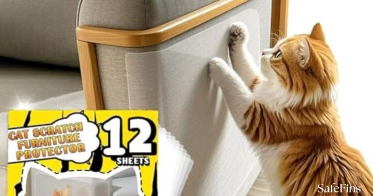 Best Leather Couch for Cats