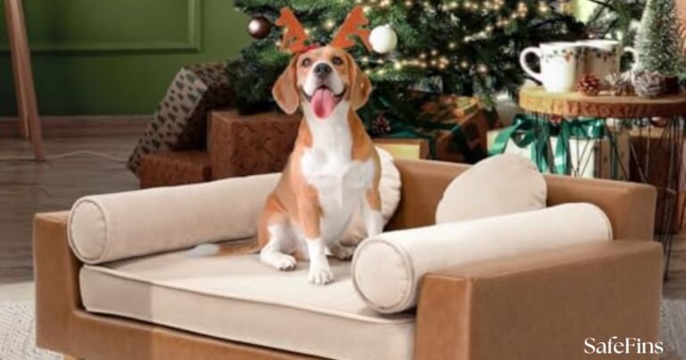 Best Leather Couch for Dogs