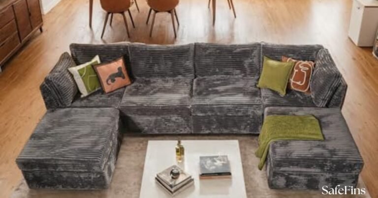 Best Sofa for Under $10000
