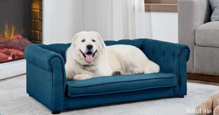 Best Sofa under $2000 for Dogs