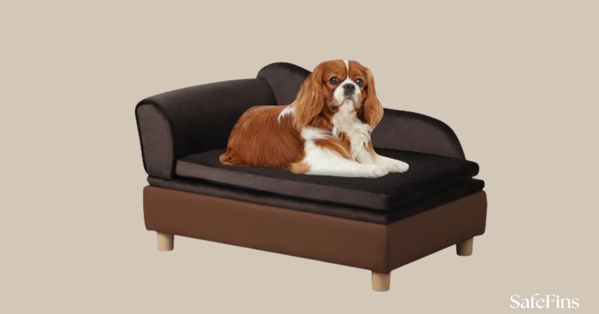 Best Leather Couch for Pets