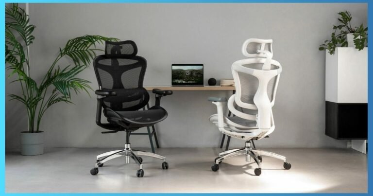 Where to Buy Sihoo Chairs: Top Stores for Best Deals Today