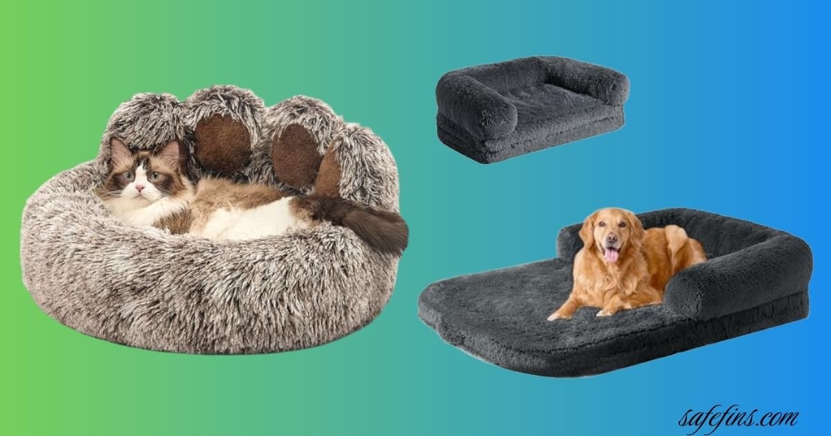 10 Best Bean Bag Chair for Dogs: Comfort and Calming Support
