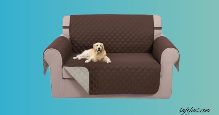 10 Best Cheap Loveseats under $100 for Stylish Small Spaces