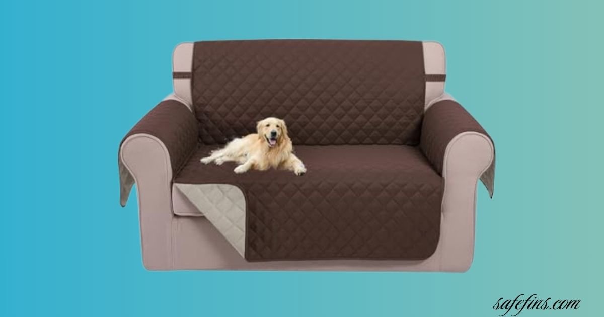 10 Best Cheap Loveseats under $100 for Stylish Small Spaces