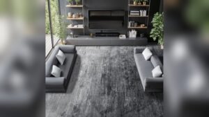 Best Area Rug for Gray Couch