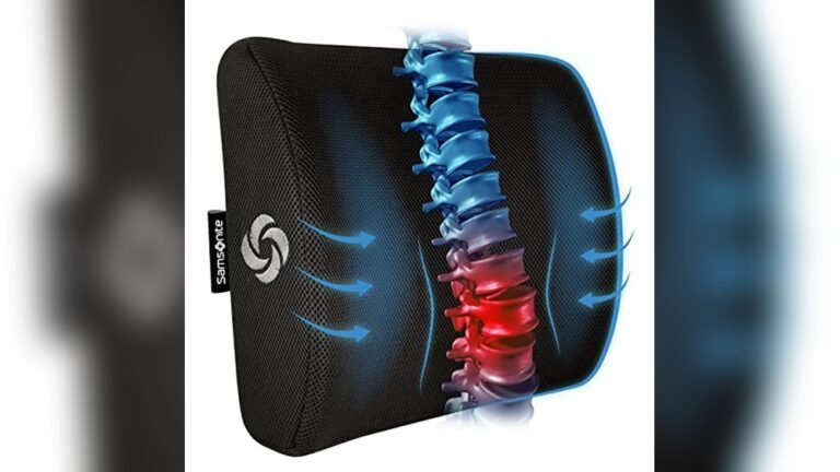 Best Back Support for Sofa