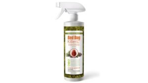Best Bed Bug Spray for Couch