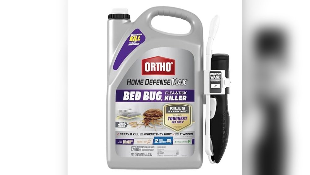 Best Bed Bug Spray for Mattresses