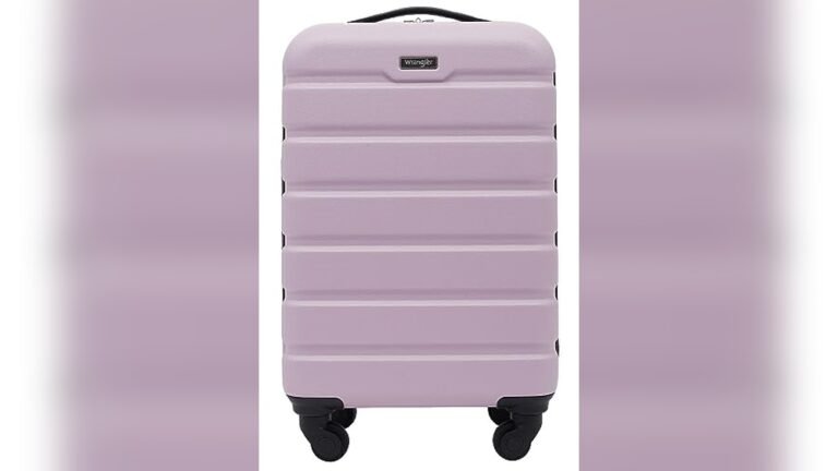Best Carry on Luggage for American Airlines