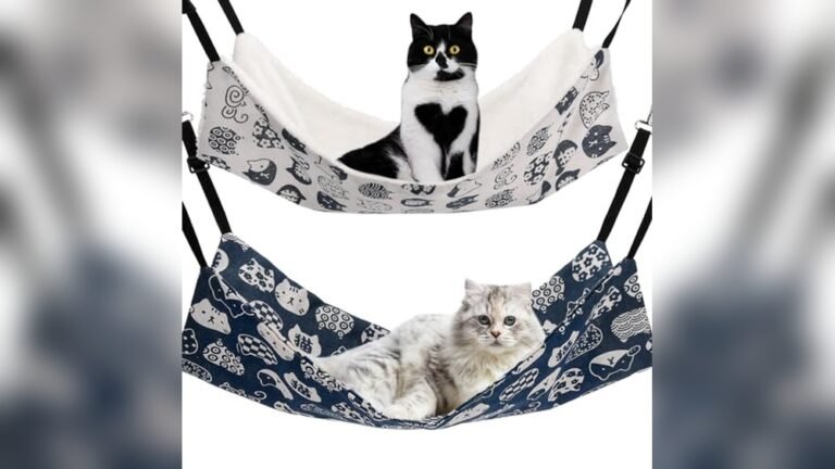 Best Cat Hammock Bed for Car