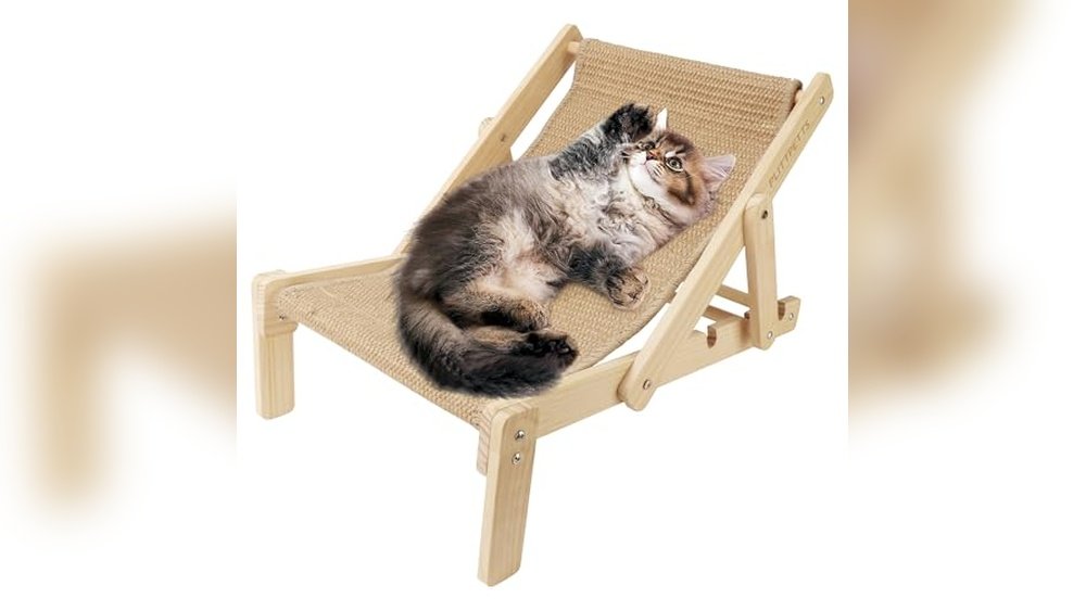 Best Cat Hammock for Chair