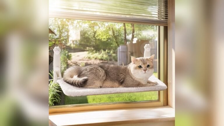 Best Cat Hammock for Side of Bed