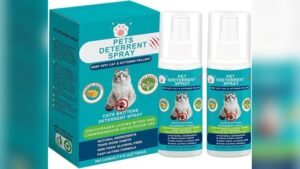 Best Cat Repellent for Couch