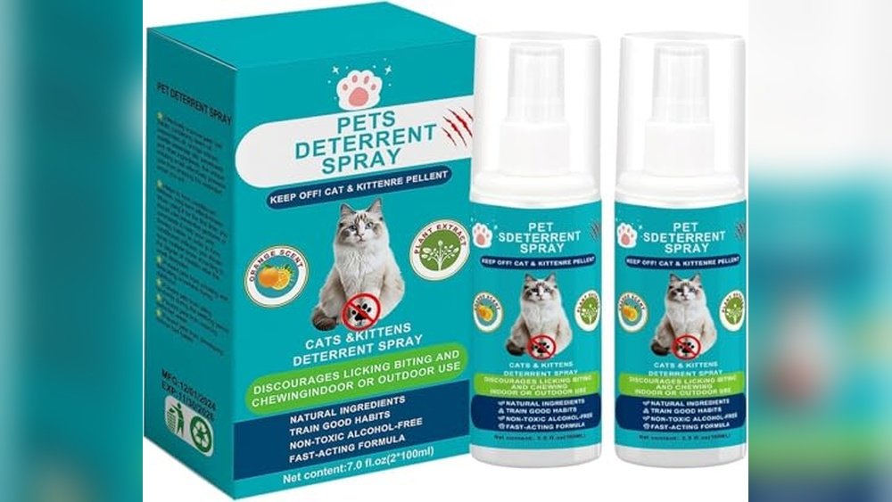 Best Cat Repellent for Couch