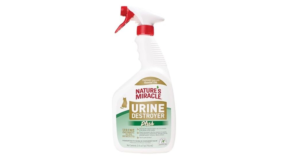 Best Cleaner for Cat Urine on Couch