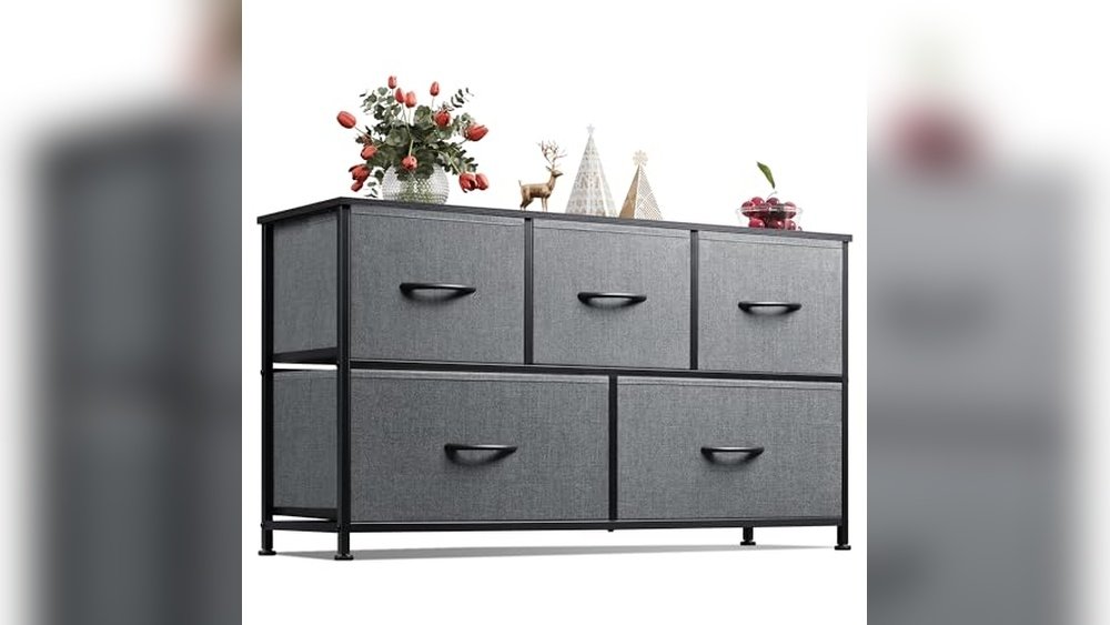 best cloth drawers for closet