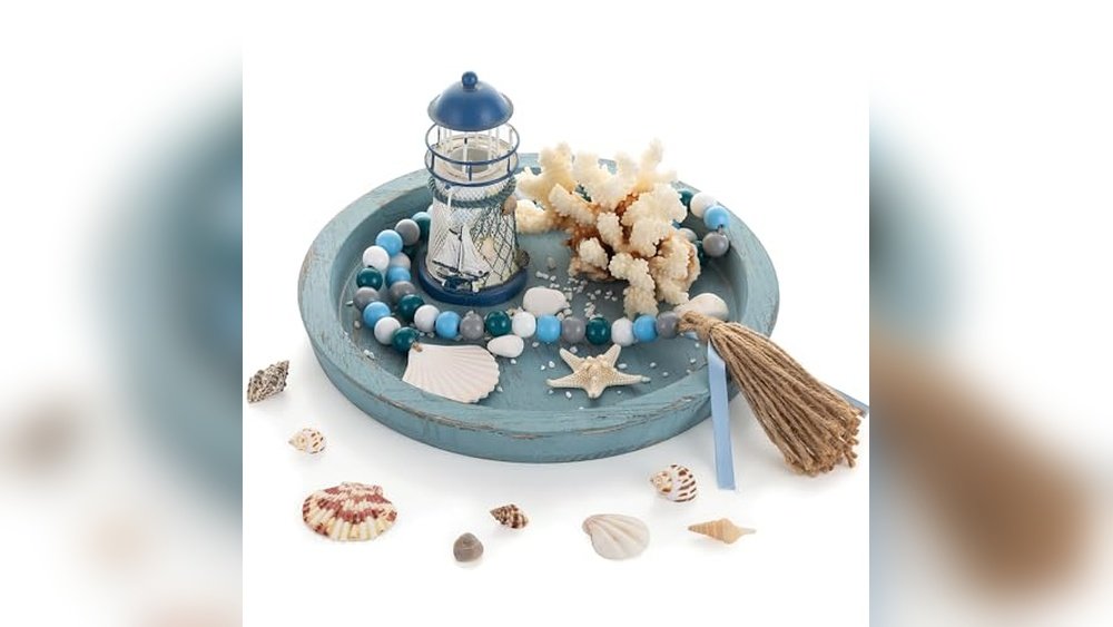 Best Coastal Tray for Coffee Table