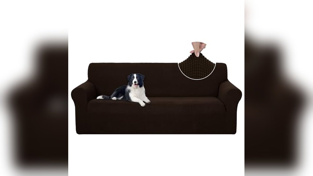 Best Color for Sofa Cover