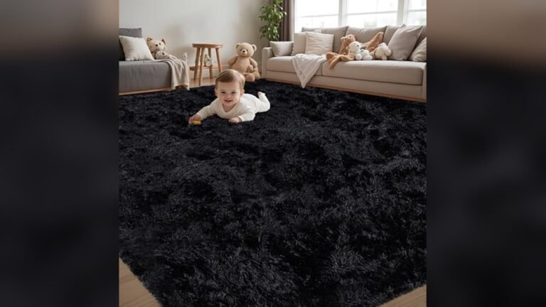 Best Color Rug for Black Couch