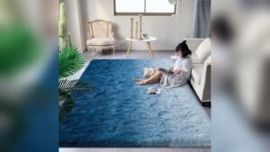 Best Color Rug for Blue Couch