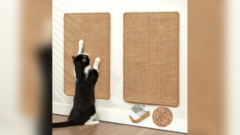 Best Colour Sofa for Grey Carpet