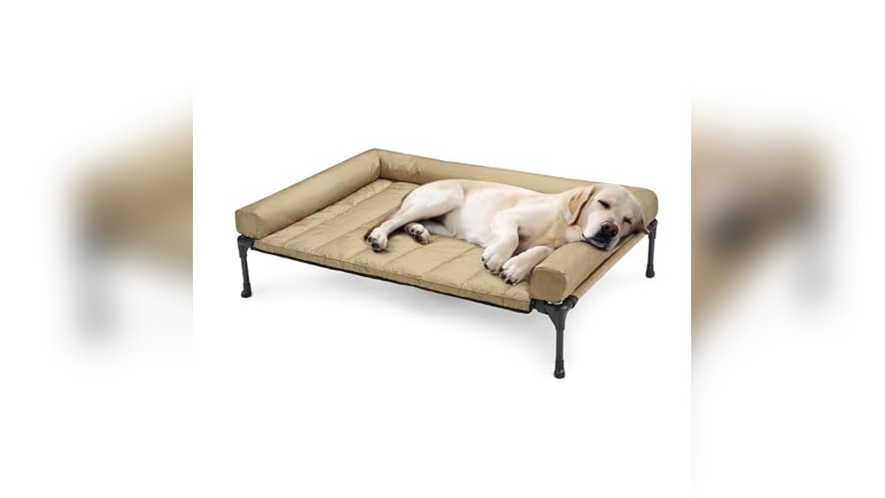 Best Cot Mattress for Dog Bed