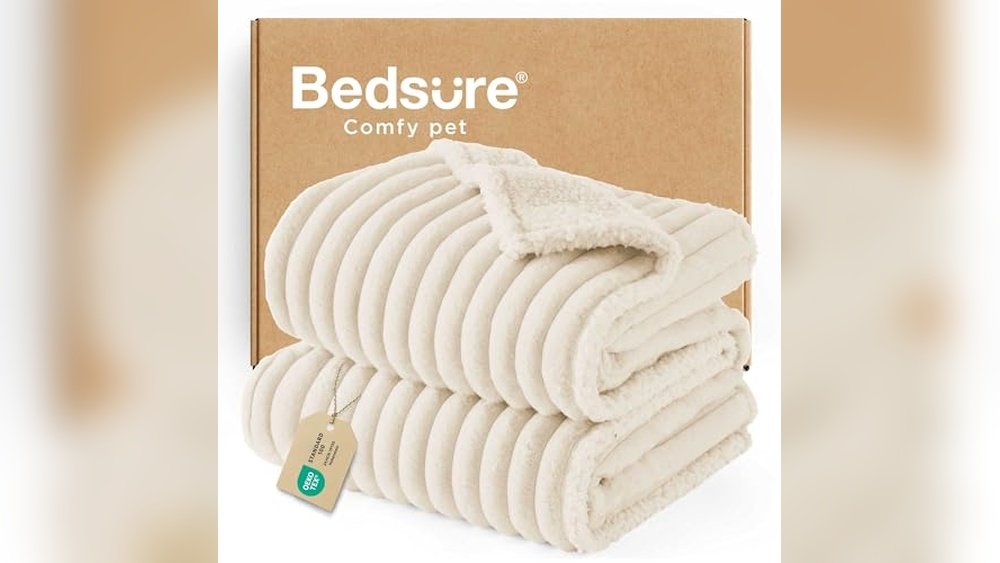 Best Couch Blanket for Dogs