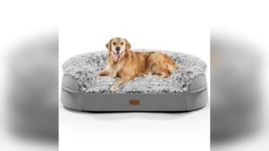 Best Couch Brands for Dogs