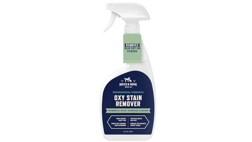 Best Couch Cleaner for Dog Smell