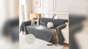 Best Couch Cover for Cats