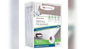 Best Couch Covers for Bed Bugs