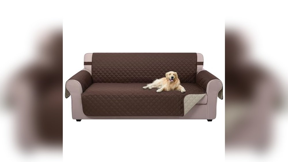 Best Couch Covers for Dog Hair
