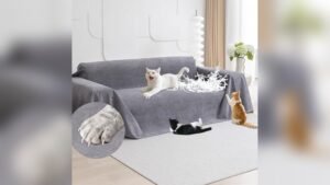 Best Couch Fabric for Cat Owners