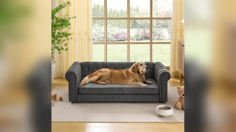 Best Couch Fabric for Dogs
