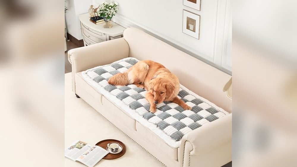 Best Couch Fabric for Pet Hair