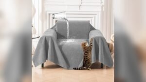 Best Couch Fabric for Shedding Dogs