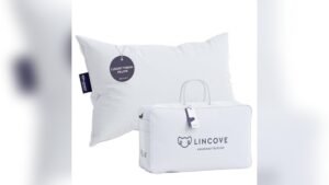 Best Couch for Allergy Sufferers