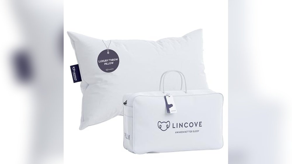 Best Couch for Allergy Sufferers